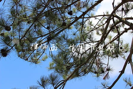 律师函 信用卡逾期 律师函 信用卡逾期